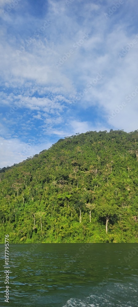 Fototapeta premium Naturaleza en estado virginal