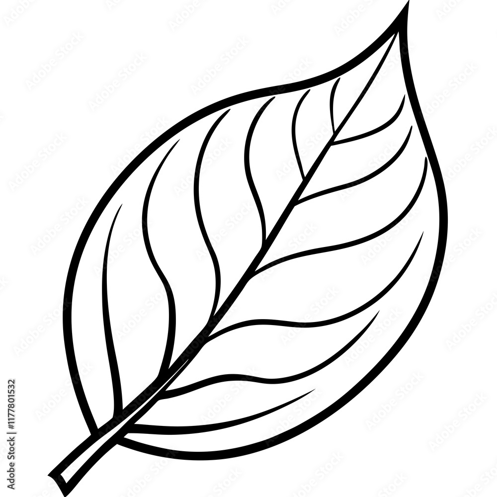 The Final Leaf Nature's Vector Design The Final Leaf Nature's Vector Design