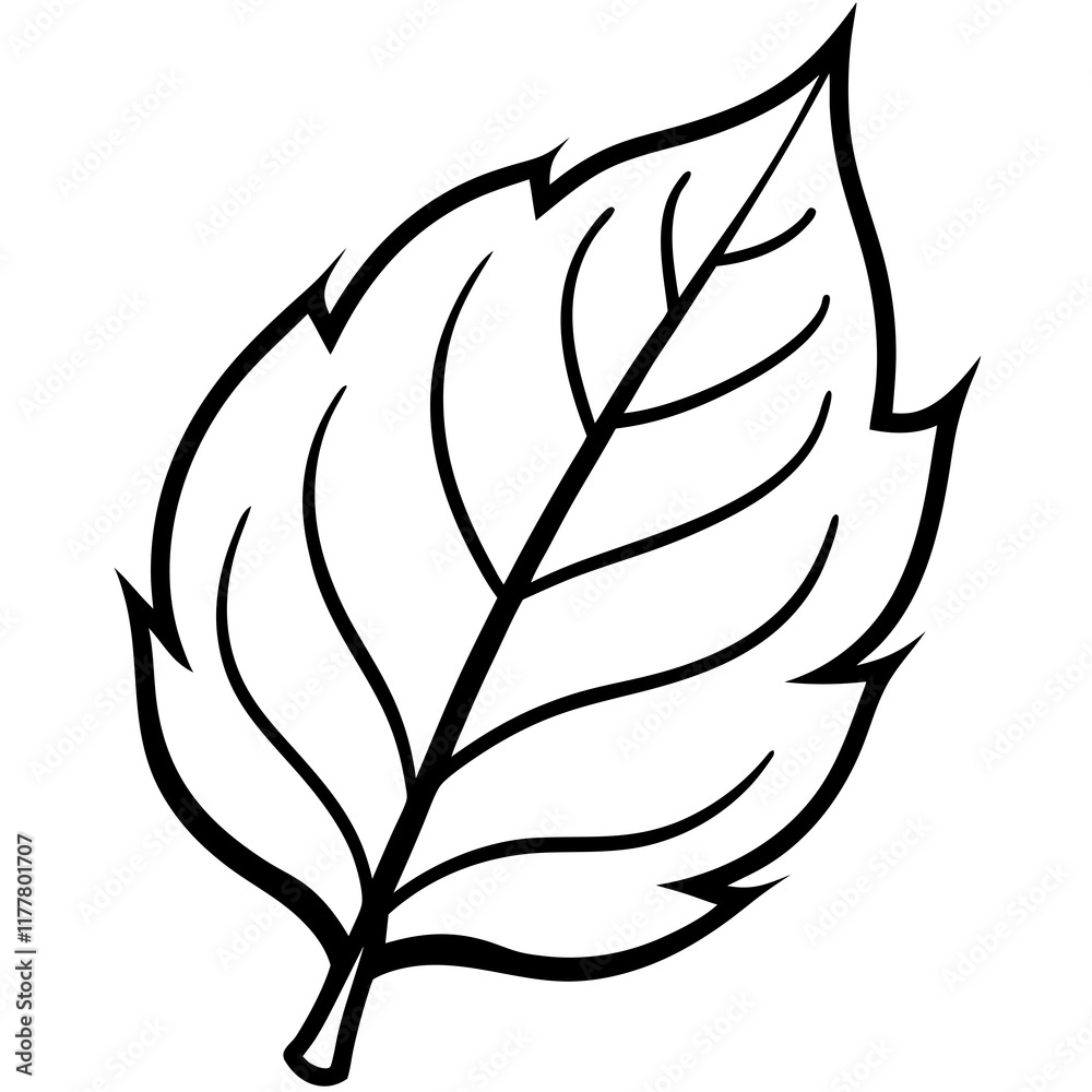 The Final Leaf Nature's Vector Design The Final Leaf Nature's Vector Design