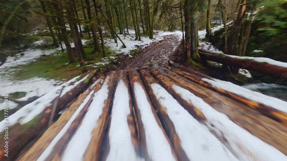 fpv drone flying low and fast over snowy pine forest and river on a cold winter day vosges france
