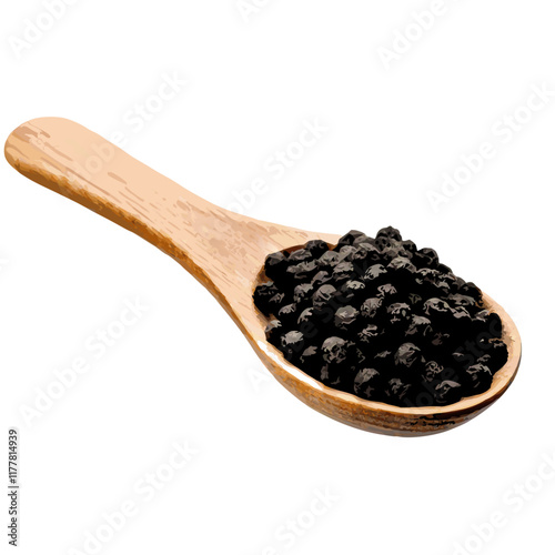 Black peppers  vector illustration (6)
