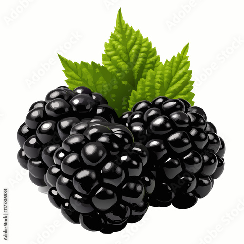 Group of fresh blackberries with a green leaf laying  vector illustration (2)