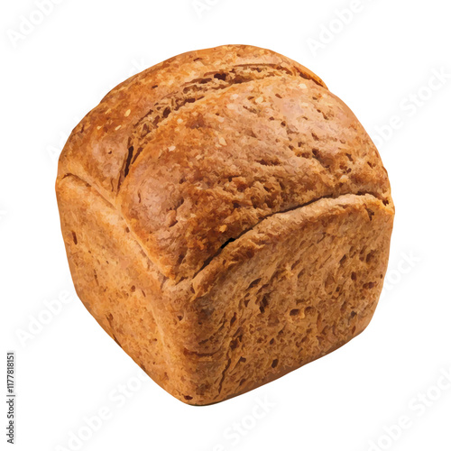 Isolated fresh baked loaf of buckwheat bread  vector illustration (4)