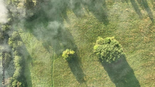 Meadow plain floodplain drone aerial Plane loucky fog morning over nature reserve, Litovelske Pomoravi protected landscape area, endangered species of plants, willows, virgin nature, Europe photo