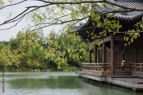 Branches Overhanging Traditional Pavilion by a Lake photo