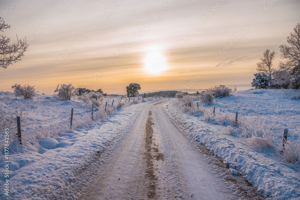 Obraz premium winter landscape with road