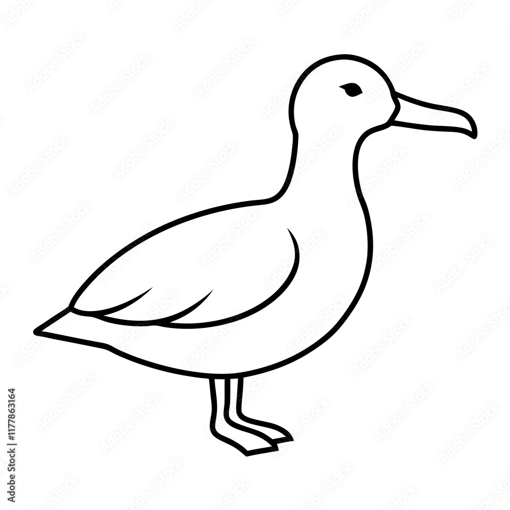 duck isolated on white duck isolated on white
