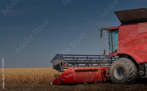 Harvesting combine in the wheat.