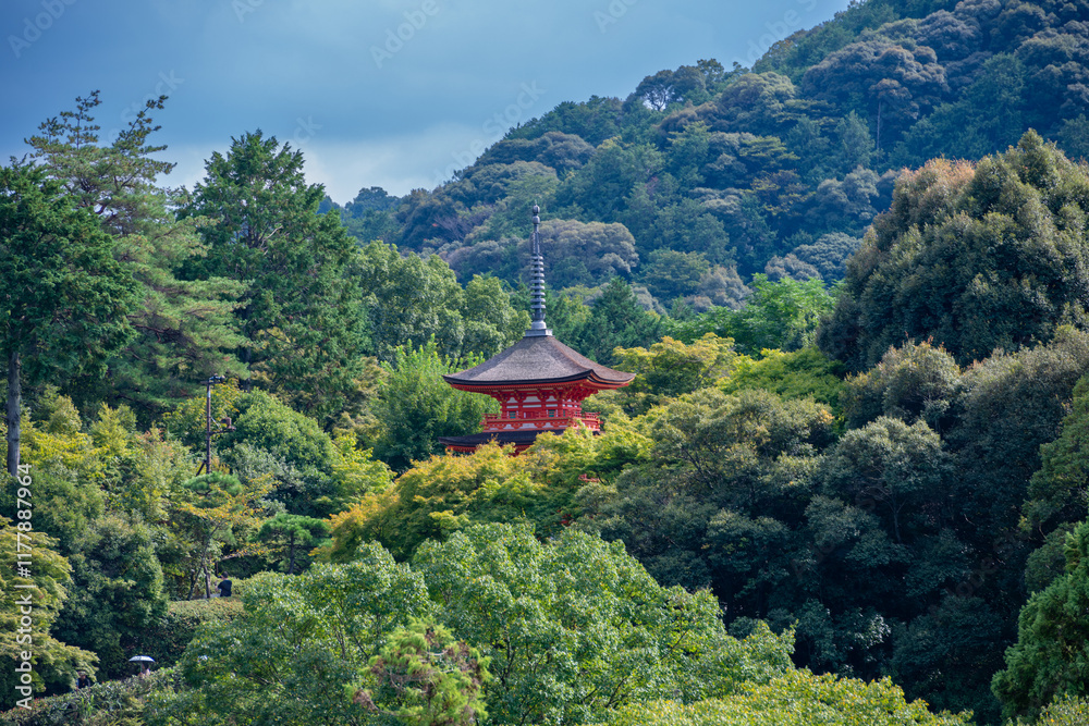 custom made wallpaper toronto digitalKiyomizu-dera Temple Kyoto