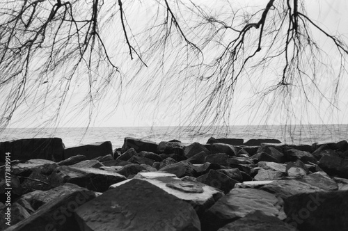 Coast in Black and White photo