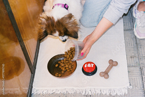 Woman owner giving dog food into a bowl at home. photo