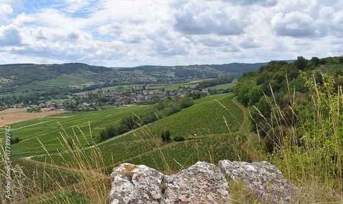 Paysage de village bourguignon entouré de vignes, Saint Martin sous Montaigu	depuis la Croix du Teu. photo