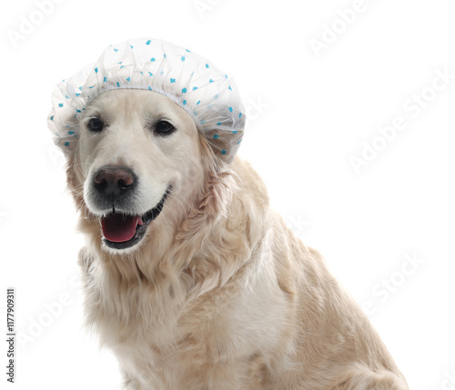 Cute funny dog in shower cap on white background