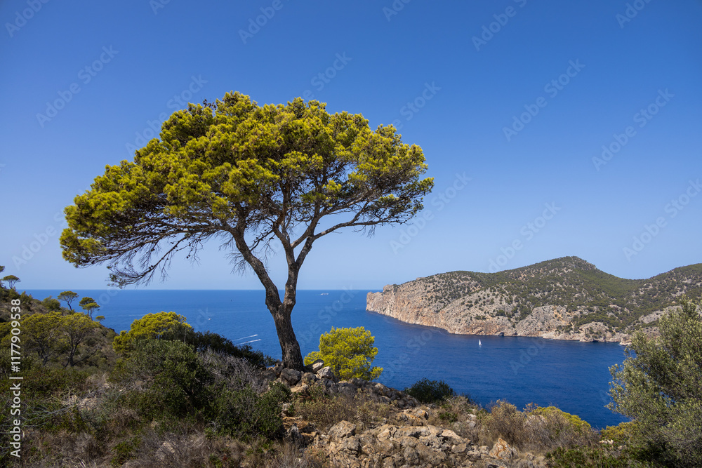 Blick auf das Cap Andritxol auf der spanischen Insel Mallorca Blick auf das Cap Andritxol auf der spanischen Insel Mallorca
