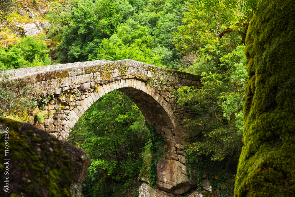 Ancient Stone Bridge Surrounded by Lush Greenery
Ancient Stone Bridge Surrounded by Lush Greenery
