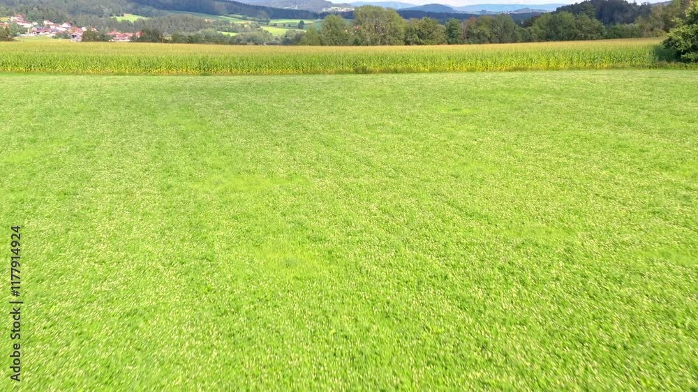 Filmmaterial eines Fluges über eine grüne Wiese und Maisfeld, Deutschland
