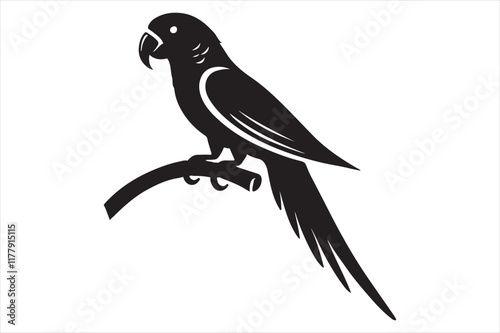 Beautiful parrot bird Silhouette this is a editable file