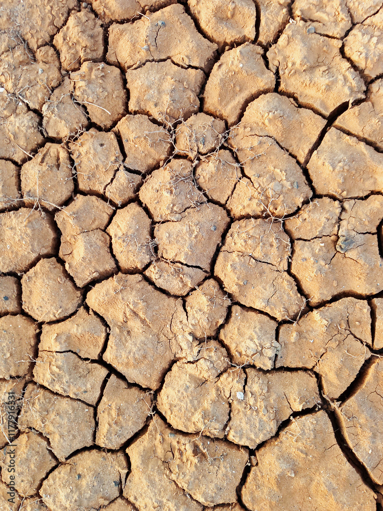 Earth crack floor texture natural background. Cracked clay ground surface. Mud texture of dry land. Environment damage and global warming concept Earth crack floor texture natural background. Cracked clay ground surface. Mud texture of dry land. Environment damage and global warming concept