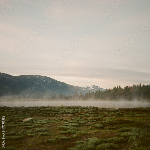 Tahoe National Forest landscape photo