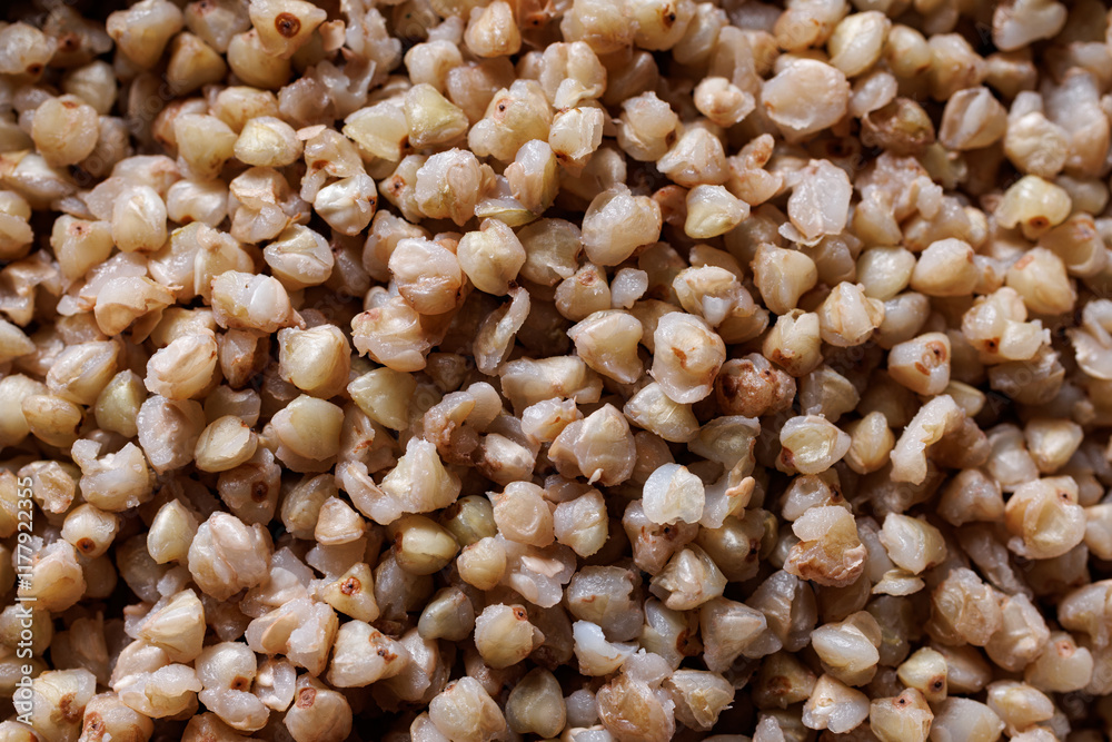 Cooked green buckwheat groats, close up view, macro. Buckwheat background Cooked green buckwheat groats, close up view, macro. Buckwheat background