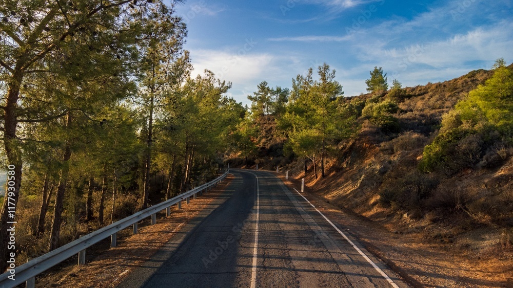 Fototapeta premium Scenic road through pine forest