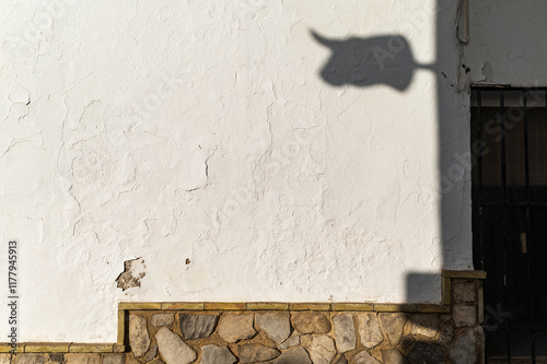 Bull shadow on stone wall photo