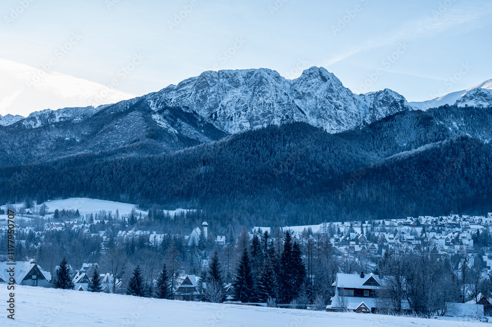 Fototapeta premium Wooden huts with smoke from chimneys in the winter season