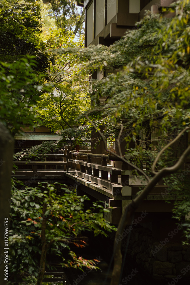 Serene wooden walkway in a Japanese garden Serene wooden walkway in a Japanese garden