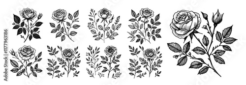artistic sketch vector of roses in monochrome with elegant floral designs