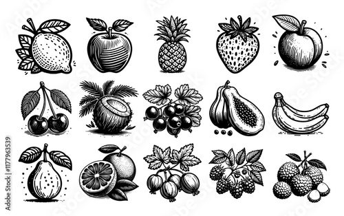 stylized vector artwork of fruits in black and white for design projects