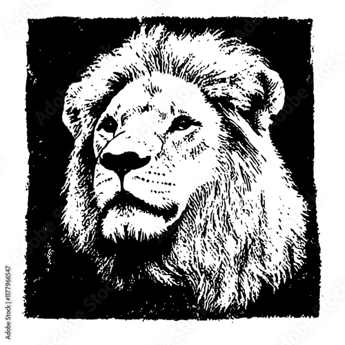 wildlife lion portrait vector in a bold, framed composition photo