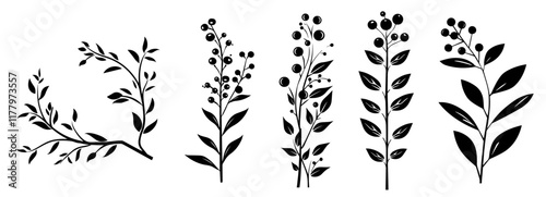 creative black and white drawings of berry plants with elegant contours