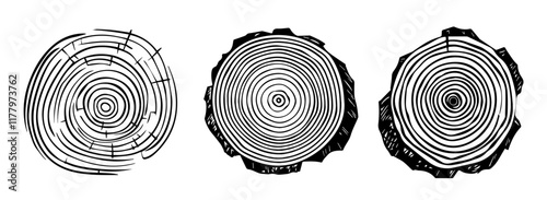 highly detailed hand-drawn tree rings vector illustration in engraving style