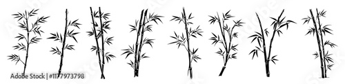 artistic collection of hand-drawn bamboo stalks and leaves