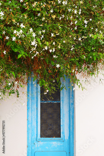 A blue greek door surrounded by lush greenery.