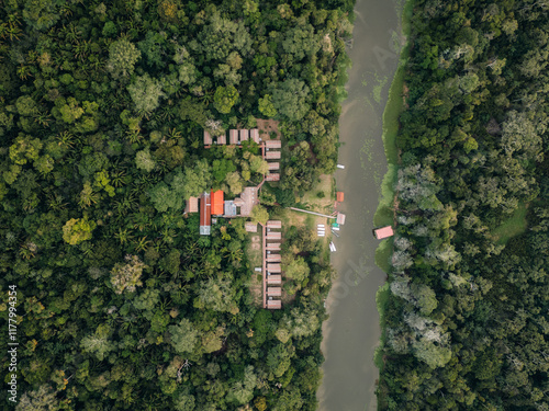 Eco hotel in the jungle Forest photo