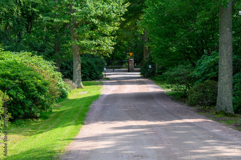 A tranquil dirt road winds through a lush green landscape, guiding visitors toward a gated entrance. Tall trees provide shade, enhancing the peaceful atmosphere A tranquil dirt road winds through a lush green landscape, guiding visitors toward a gated entrance. Tall trees provide shade, enhancing the peaceful atmosphere