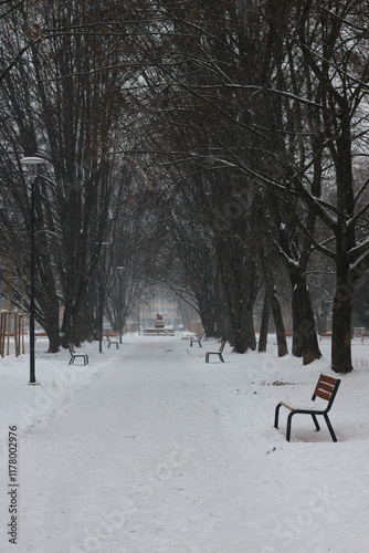 Walk through park in winter on a misty snowy day