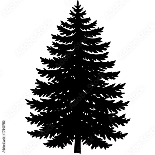 Silhouette of Balsam Fir on White