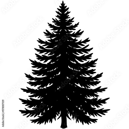 Silhouette of Balsam Fir on White