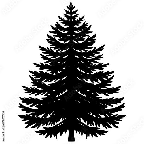 Silhouette of Balsam Fir on White