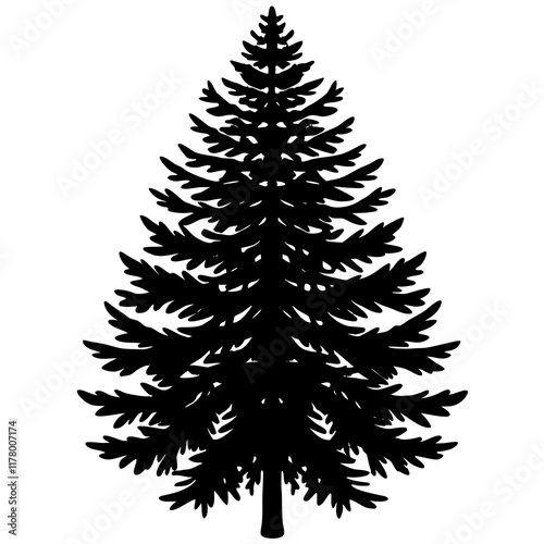 Silhouette of Balsam Fir on White