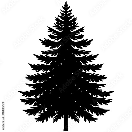 Silhouette of Balsam Fir on White
