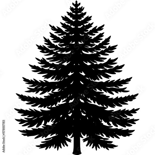 Silhouette of Balsam Fir on White