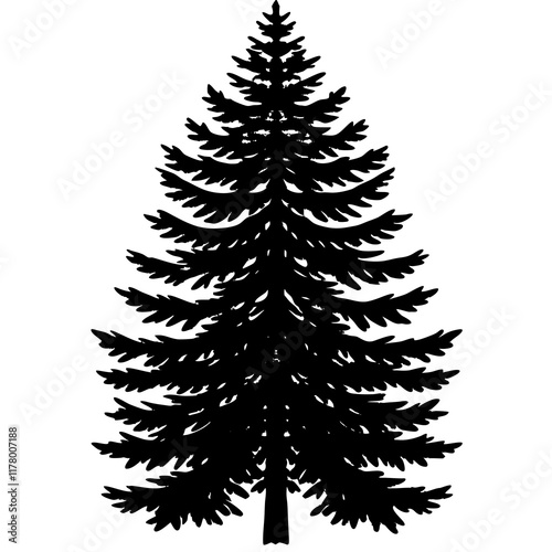 Silhouette of Balsam Fir on White