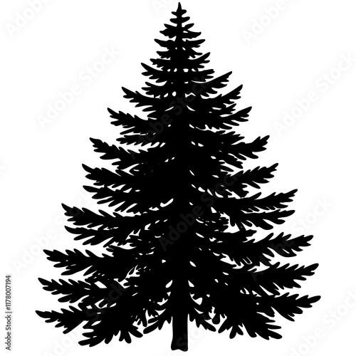 Silhouette of Balsam Fir on White