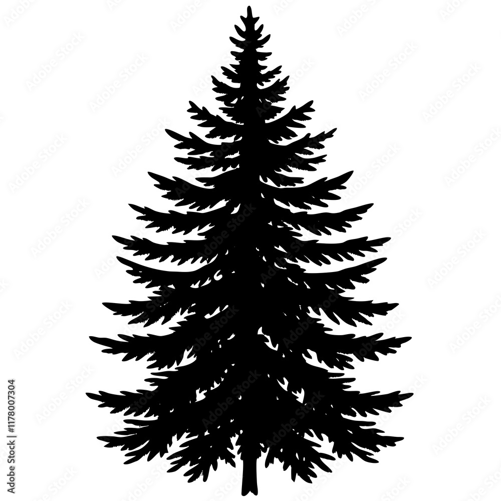 Silhouette of Balsam Fir on White Silhouette of Balsam Fir on White