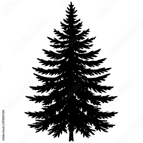 Silhouette of Balsam Fir on White
