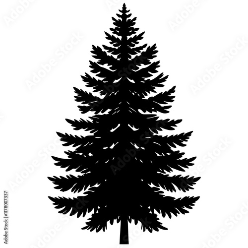 Silhouette of Balsam Fir on White