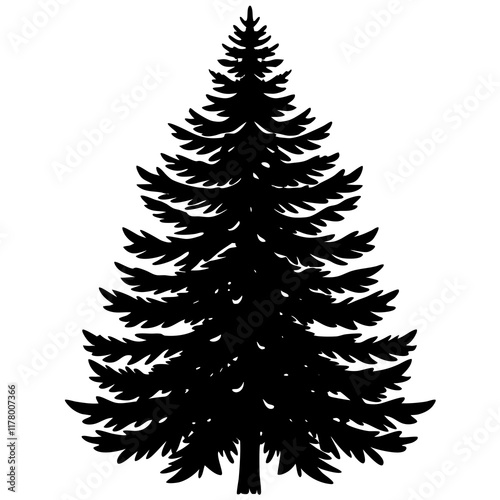 Silhouette of Balsam Fir on White